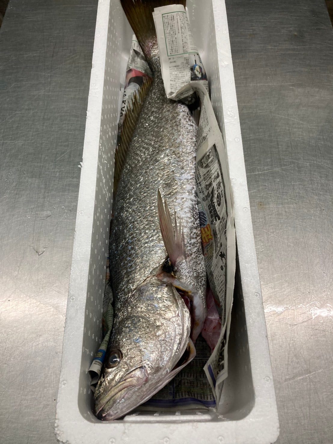 ニベ(ムニエル用)