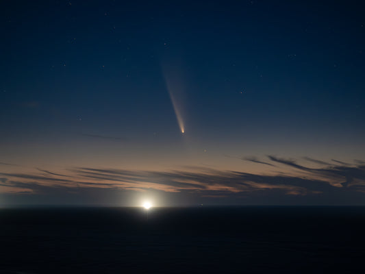 飛び魚セット「彗星」
