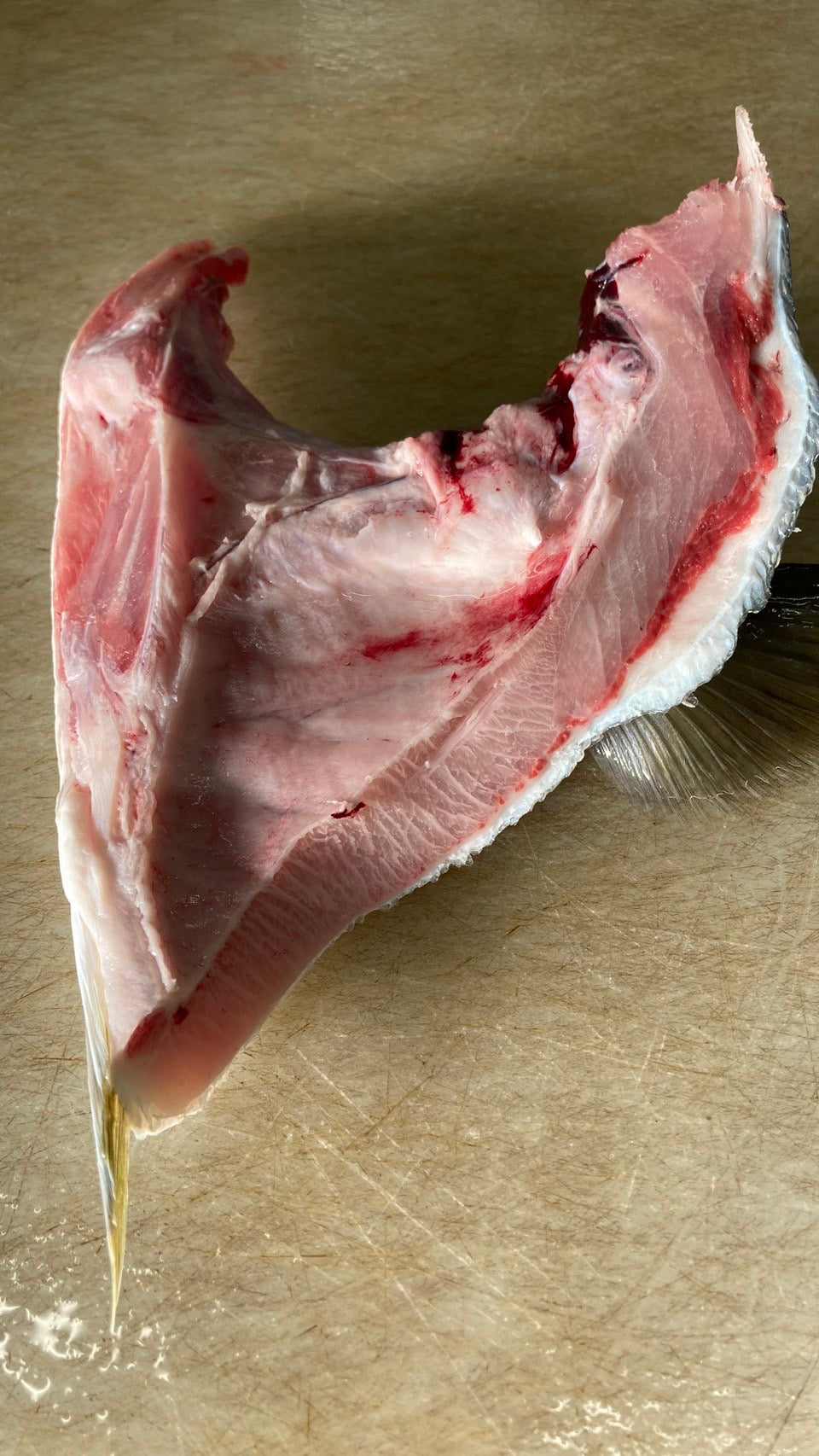 天然ぶりカマ　塩焼き用（真空冷凍）