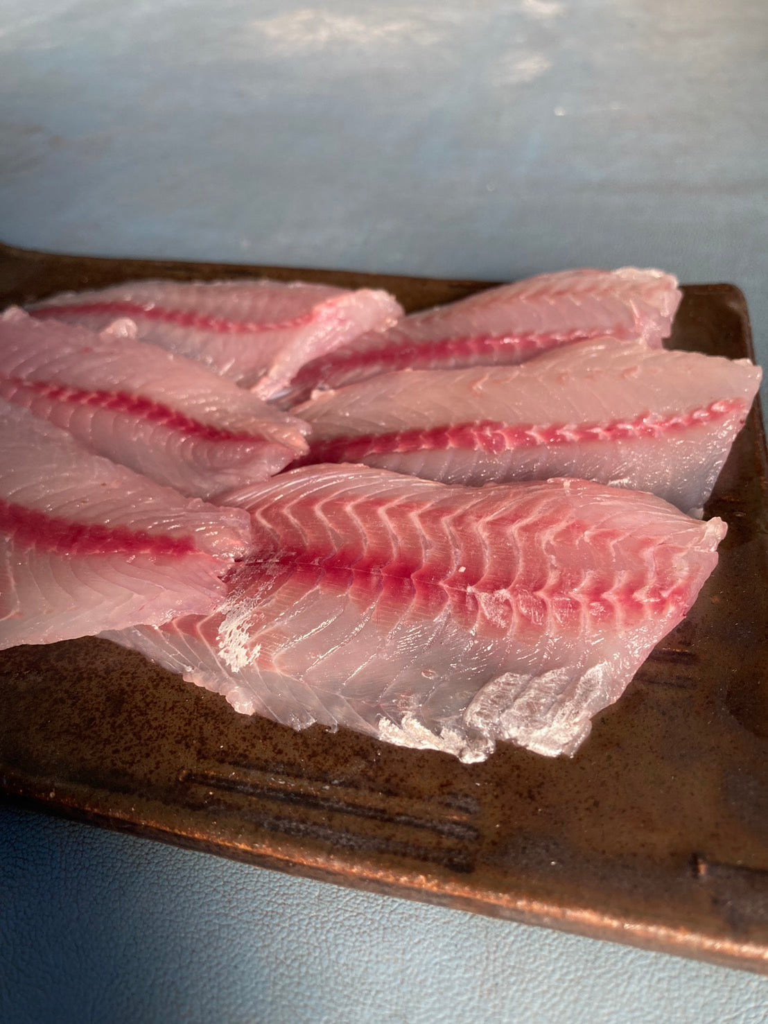 イサキ　刺身(真空冷凍)